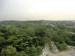 Beauty World Centre (D21), Apartment #536998311